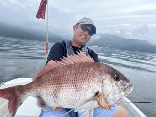 マダイの釣果