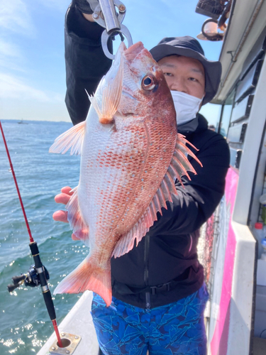 マダイの釣果