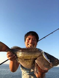 ハタの釣果