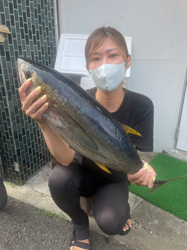 キハダマグロの釣果