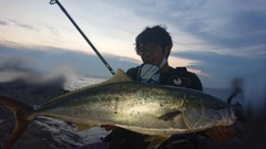 ワラサの釣果