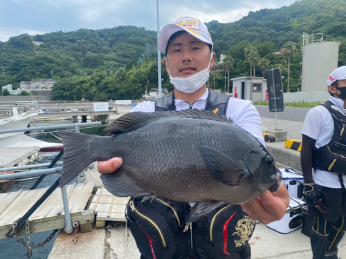 クチブトグレの釣果