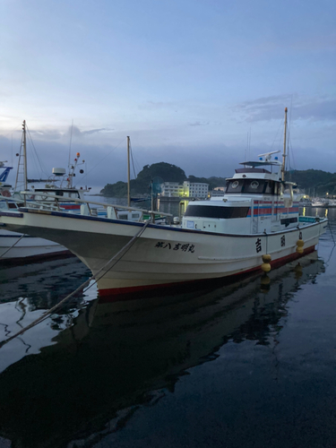 マアジの釣果