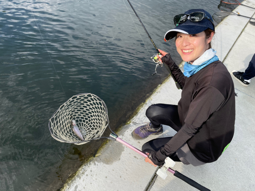 ニジマスの釣果