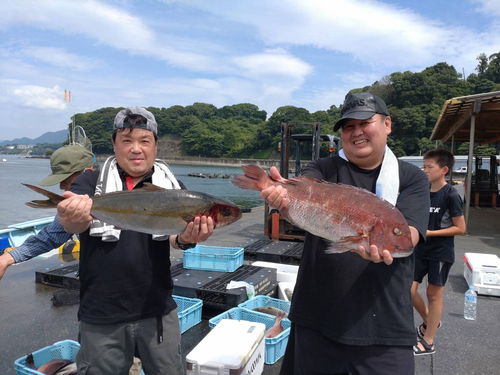 マダイの釣果