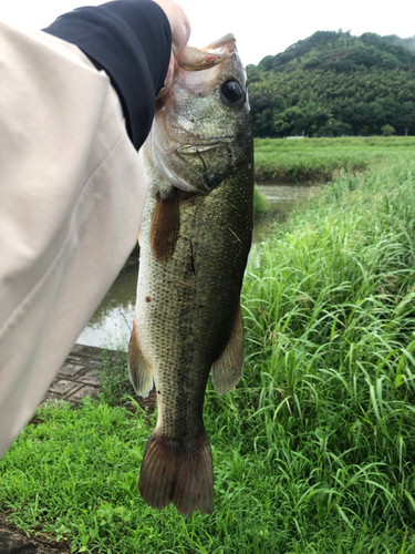 釣果