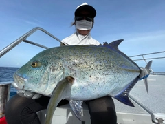 カスミアジの釣果