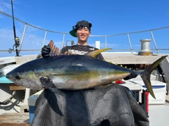 キハダマグロの釣果