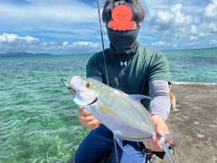 ナンヨウカイワリの釣果