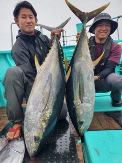 キハダマグロの釣果