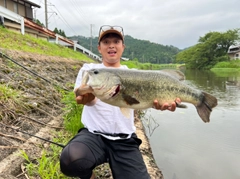 ブラックバスの釣果