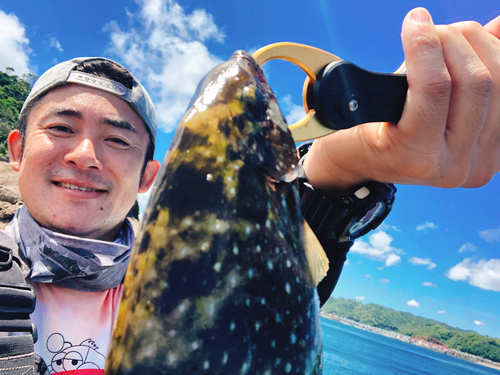 アイゴの釣果