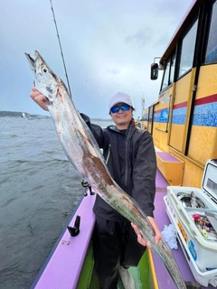 タチウオの釣果