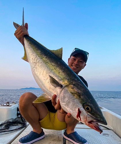 ブリの釣果