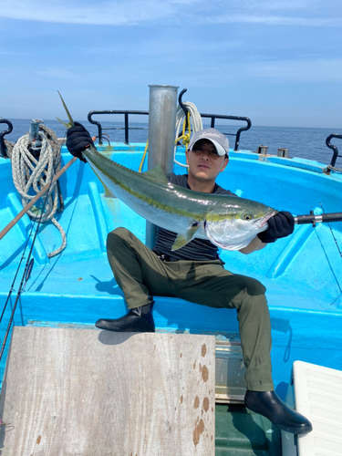 ブリの釣果