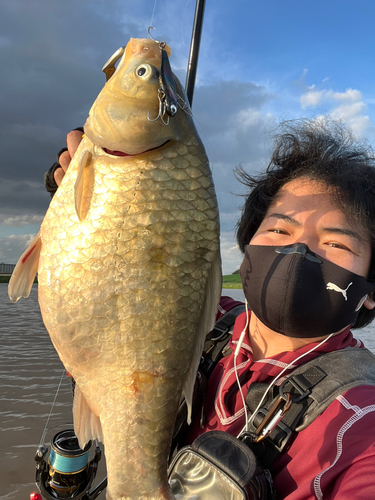 フナの釣果