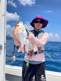 レンコダイの釣果