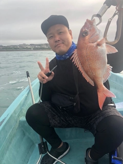 マダイの釣果