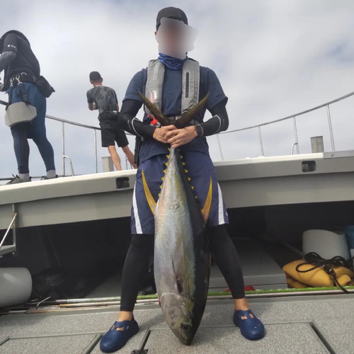 キハダマグロの釣果