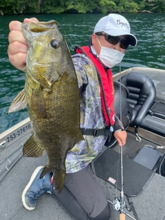 スモールマウスバスの釣果