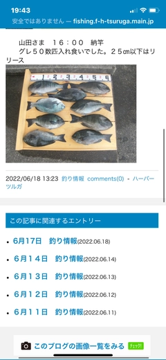 クチブトグレの釣果