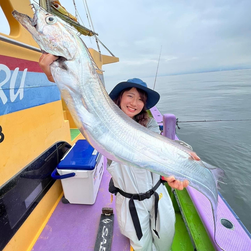 タチウオの釣果