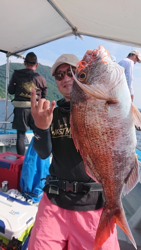 マダイの釣果