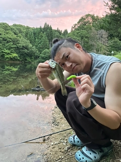 ブラックバスの釣果