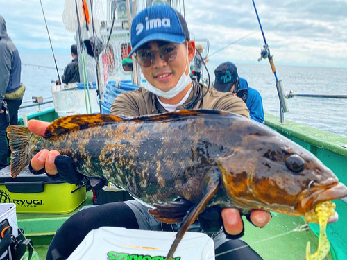 アイナメの釣果