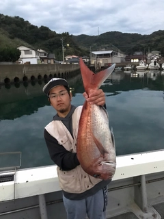 マダイの釣果