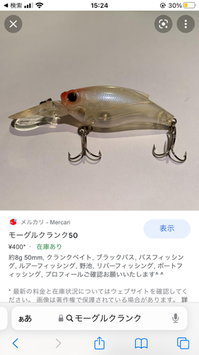 ブラックバスの釣果