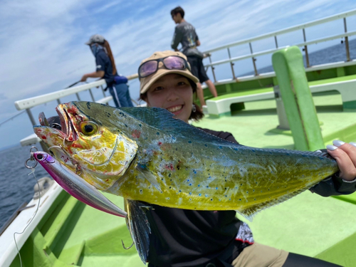 シイラの釣果