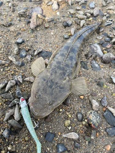 釣果