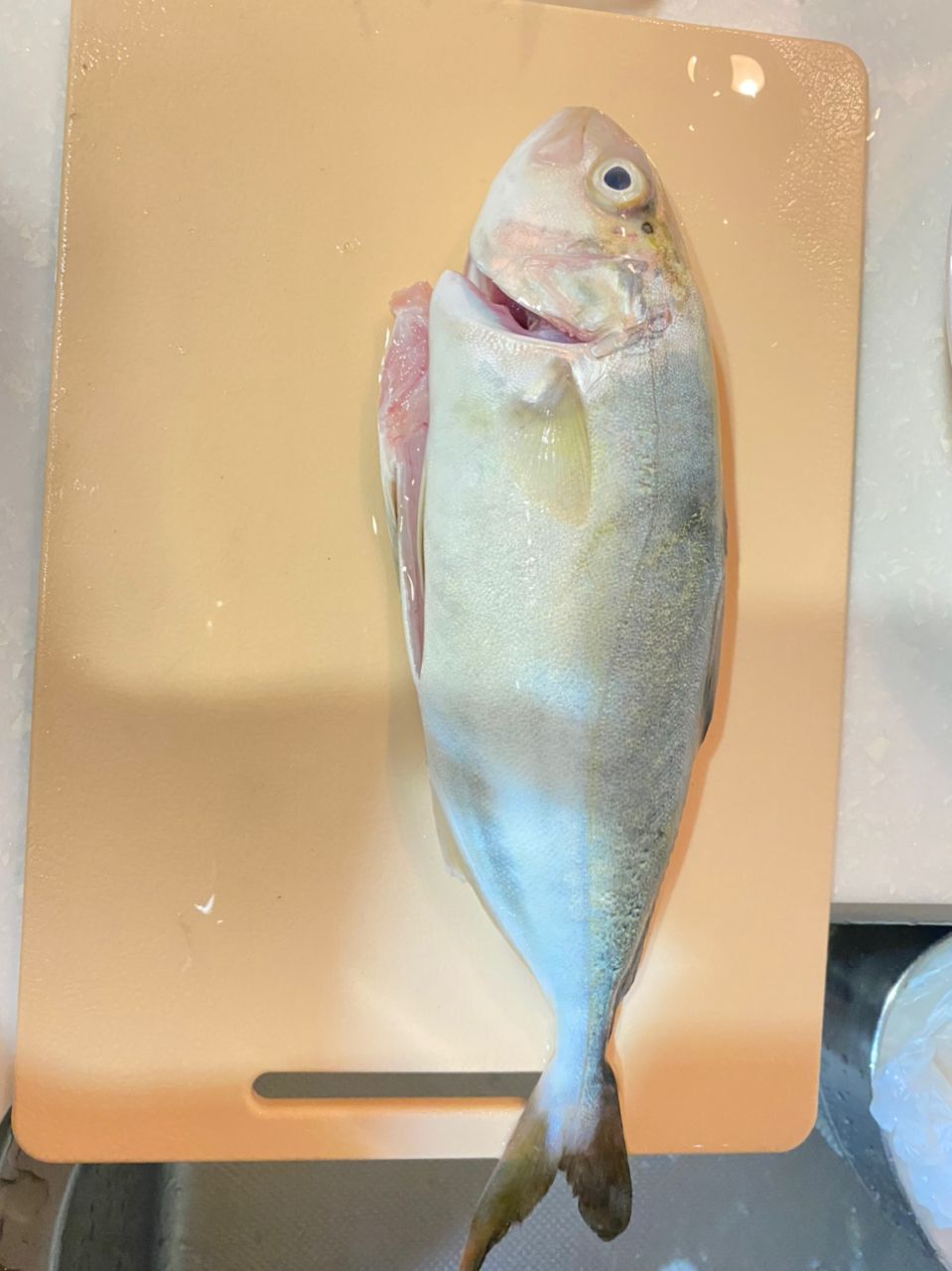 アジ