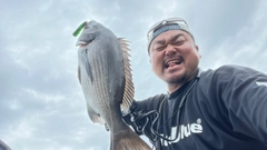 キビレの釣果