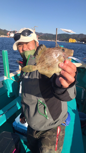 カワハギの釣果