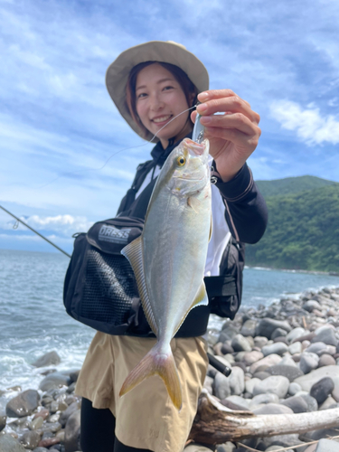 ショゴの釣果