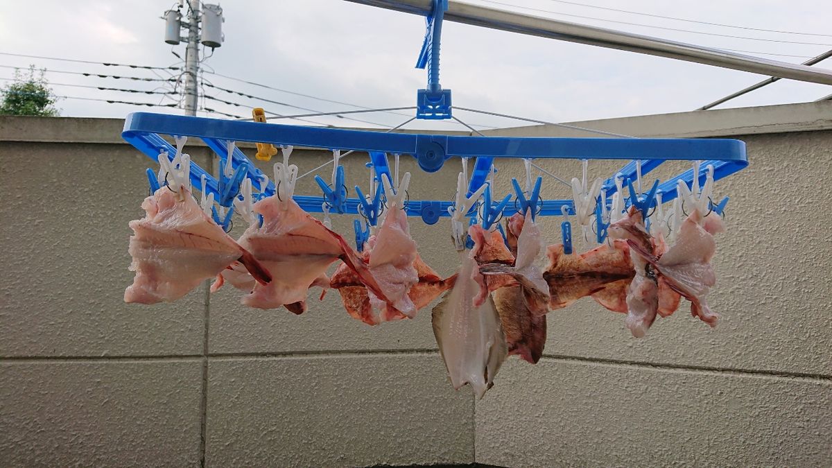 釣りバカじいさんさんの釣果 3枚目の画像