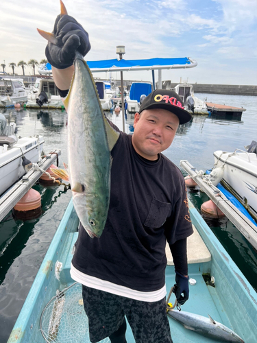 ハマチの釣果