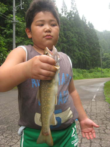 釣果