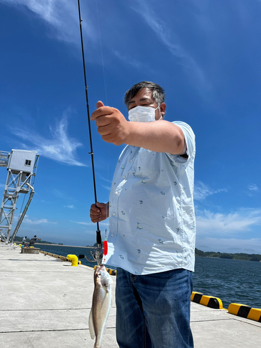 イシモチの釣果