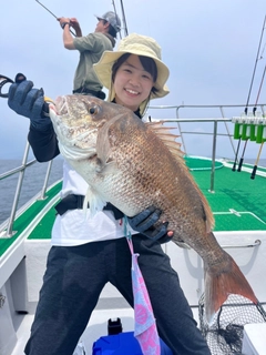 マダイの釣果