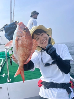 マダイの釣果