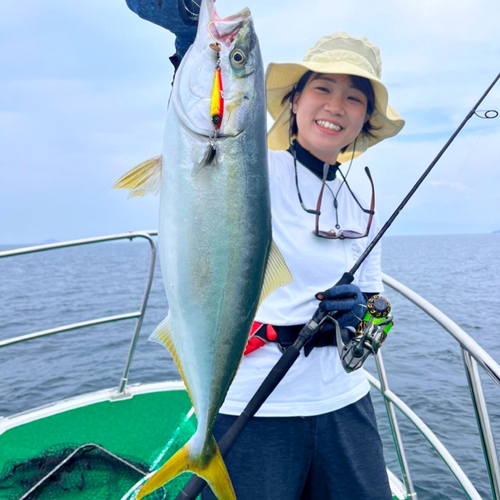 ヤズの釣果