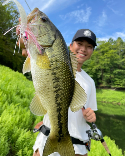 ブラックバスの釣果