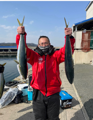 サワラの釣果