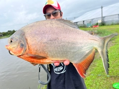 コロソマの釣果