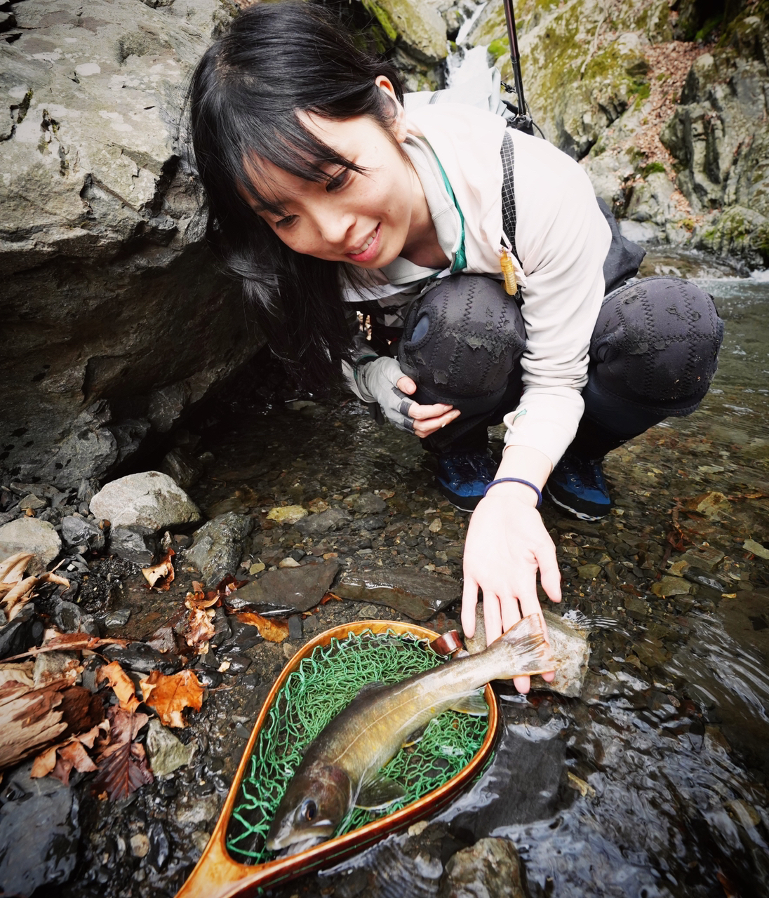 ヤマトイワナ