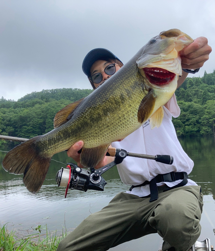 ブラックバスの釣果