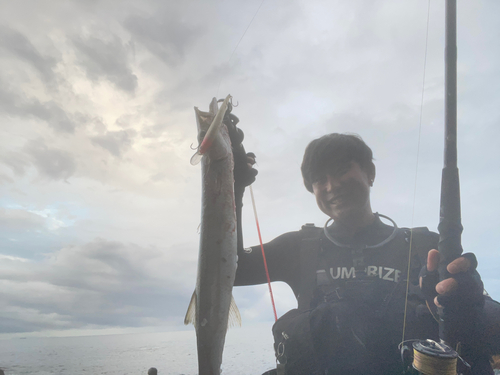 タイワンカマスの釣果